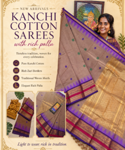 Kanchi Cotton
