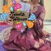Premium Ash Grey Kanchi Cotton Saree with Deep Charcoal Black Big Border And Rich Pallu
