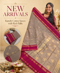 Kanchi Cotton